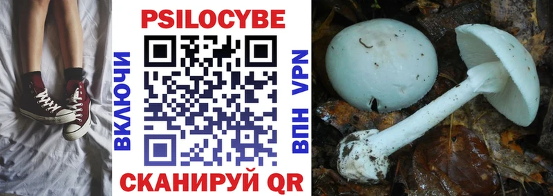 Псилоцибиновые грибы Magic Shrooms Армянск